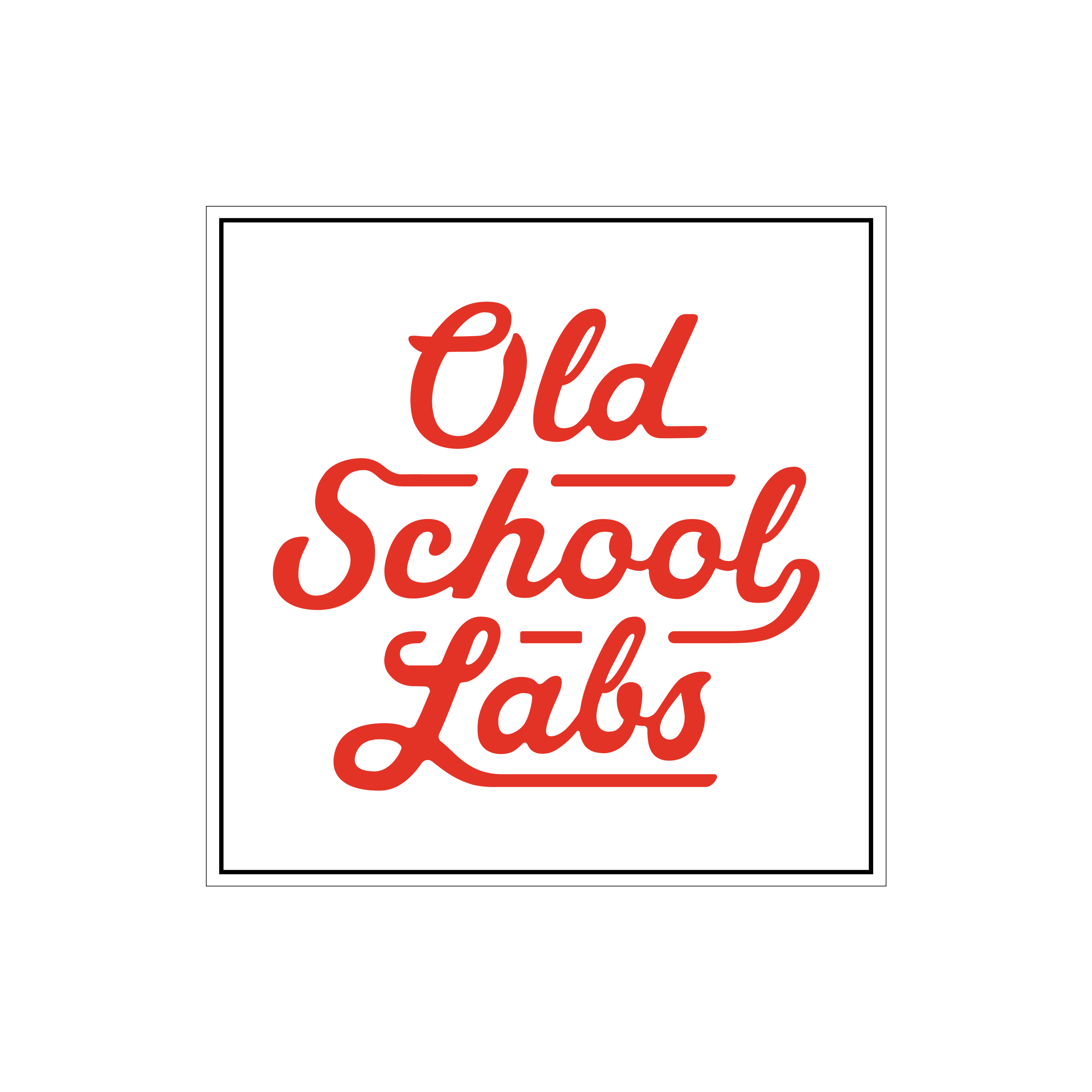 Get Paid to Post About Old School Labs